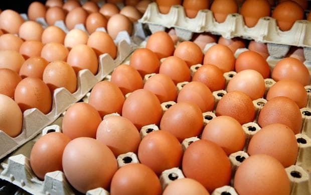 Fresh farm eggs from Farmstead Poultry